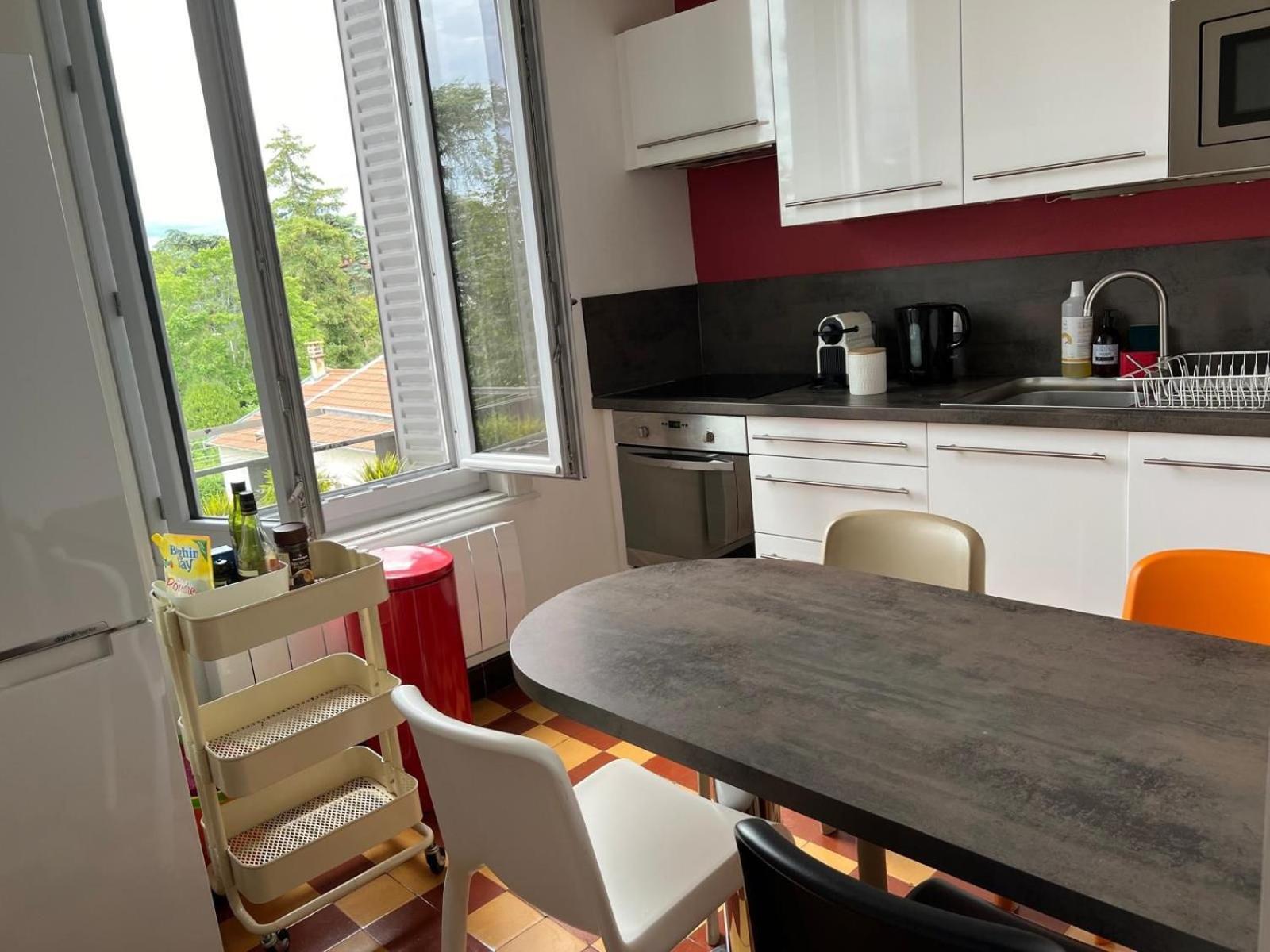 La Suite Des Cedres - T3 Lyon 3 Экстерьер фото